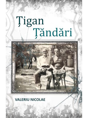 cover image of Țigan Țăndări